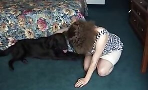 dog sex, blowjob